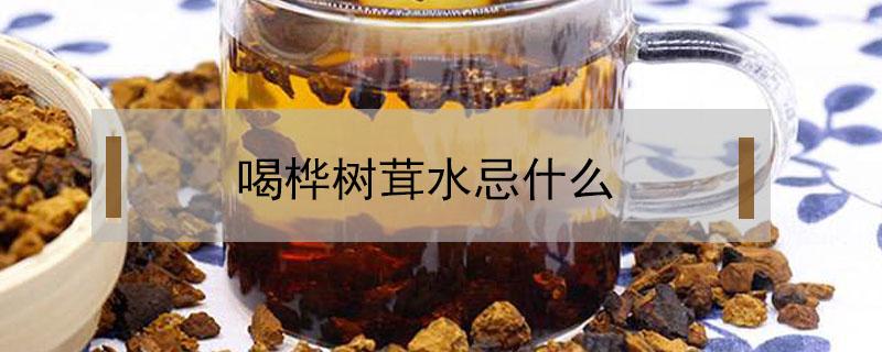 喝桦树茸水忌什么