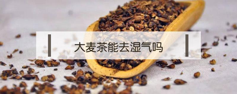 大麦茶能去湿气吗（大麦茶能除湿吗）