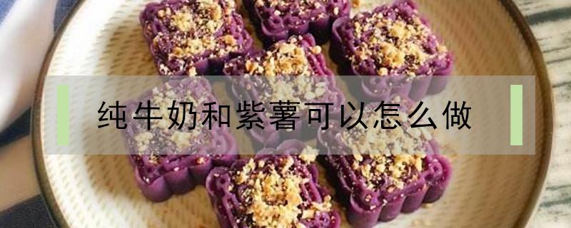 纯牛奶和紫薯可以怎么做 紫薯加纯牛奶做法