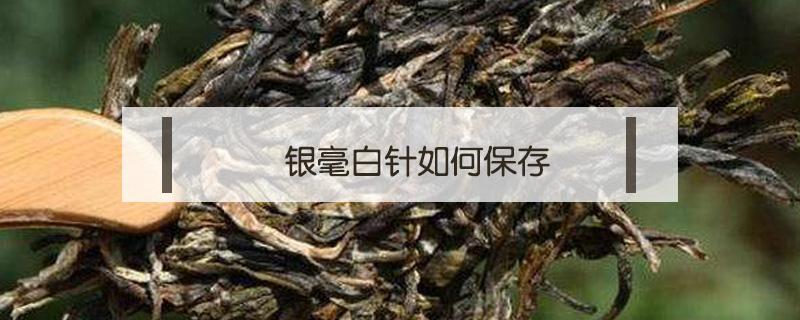 银毫白针如何保存 白毫银针保存方法