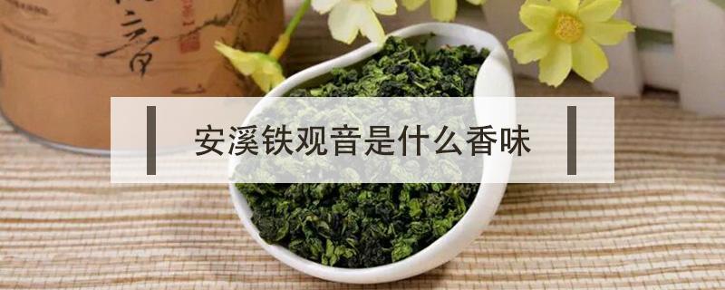 安溪铁观音是什么香味 安溪铁观音什么味道