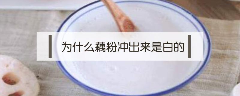 为什么藕粉冲出来是白的(藕粉冲出来发白是什么原因)
