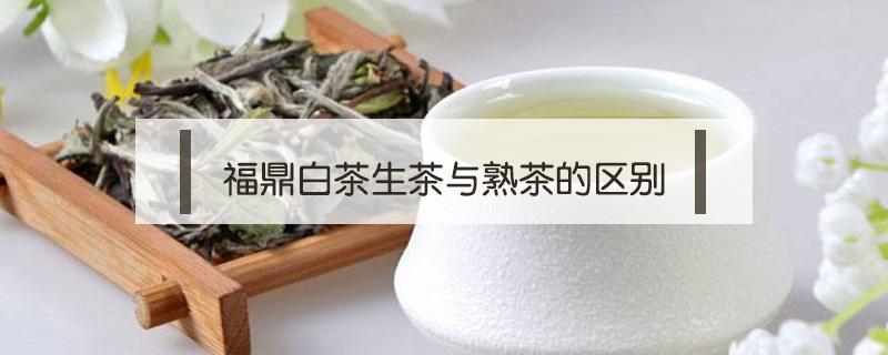 福鼎白茶生茶与熟茶的区别 福鼎白茶有生熟之分吗?