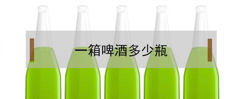一箱啤酒多少瓶（九度一箱啤酒多少瓶）