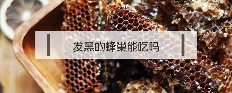 发黑的蜂巢能吃吗 蜂巢蜜蜂巢黑色能吃么