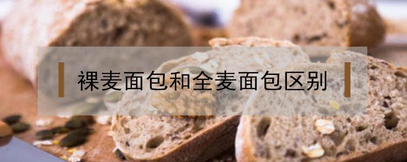 裸麦面包和全麦面包区别 全麦和裸麦面包的区别