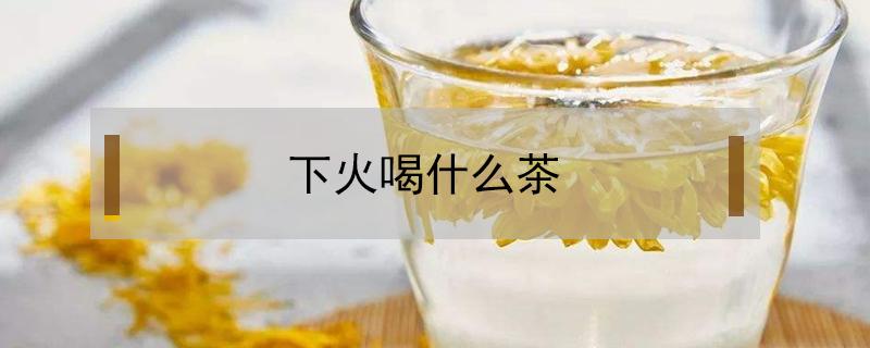 下火喝什么茶（下火喝什么茶泡水效果最好）