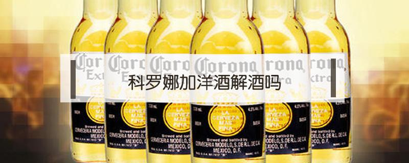 科罗娜加洋酒解酒吗（科罗娜怎么解酒）