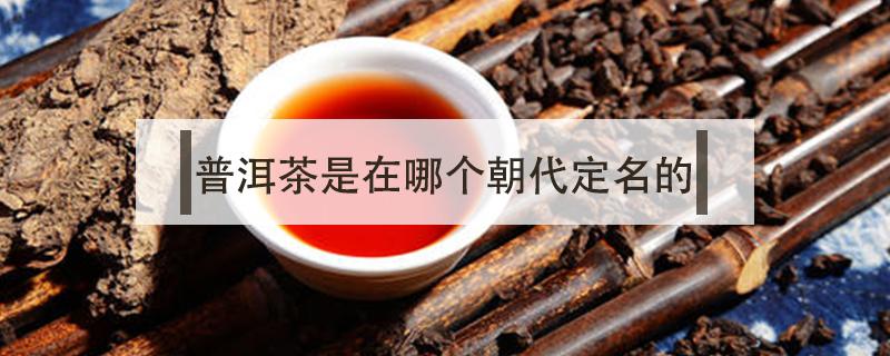 普洱茶是在哪个朝代定名的 普洱茶最早叫什么