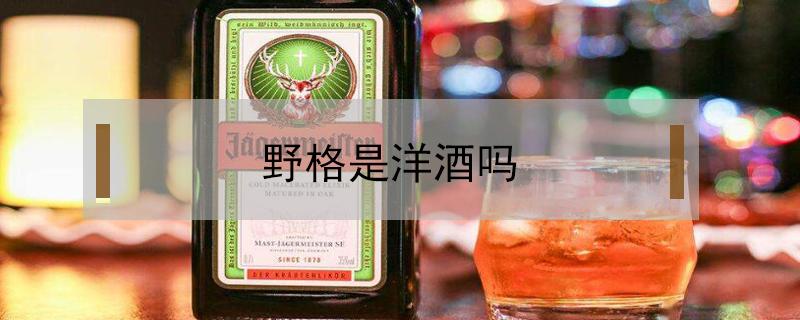 野格是洋酒吗 野格是洋酒吗?