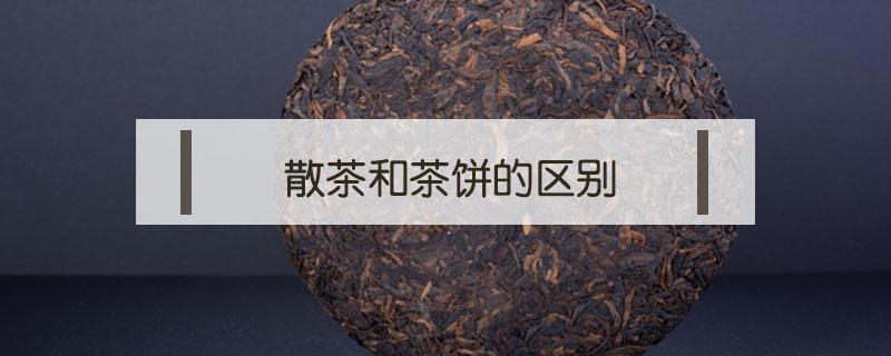 散茶和茶饼的区别 普洱茶饼和散茶的区别