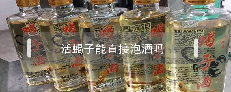 活蝎子能直接泡酒吗 活蝎子能直接泡酒吗?身上的烂处也可抹吗