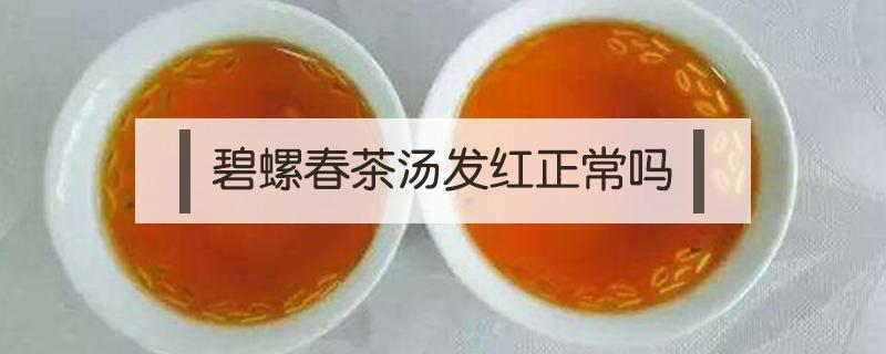 碧螺春茶汤发红正常吗 碧螺春茶汤颜色发黄是怎么回事