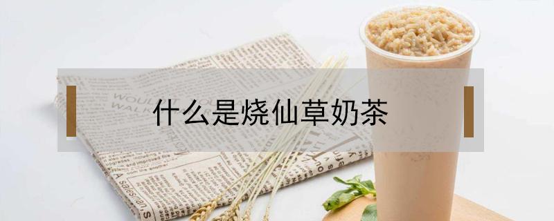 什么是烧仙草奶茶（烧仙草奶茶代表什么）