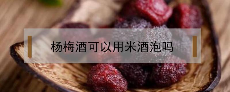 杨梅酒可以用米酒泡吗（米酒和白酒可以一起泡杨梅吗）