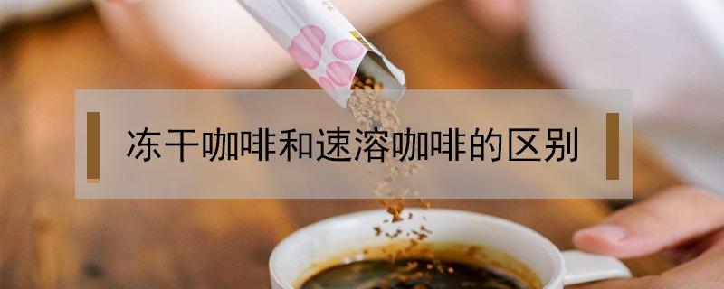 冻干咖啡和速溶咖啡的区别 冻干速溶咖啡和速溶咖啡的区别