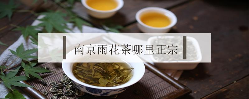 南京雨花茶哪里正宗（南京特产雨花茶在哪里买正宗）