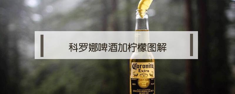 科罗娜啤酒加柠檬图解 科罗娜啤酒加柠檬图片