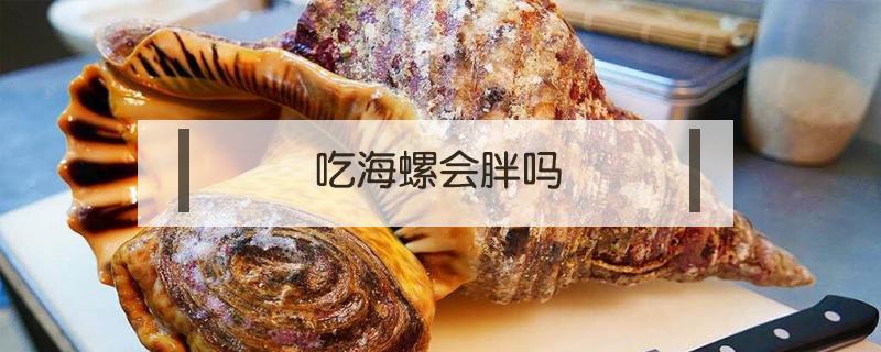 吃海螺会胖吗 减肥吃海螺会胖吗