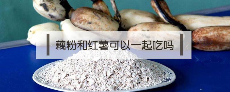 藕粉和红薯可以一起吃吗（藕粉能和红薯一起吃吗）
