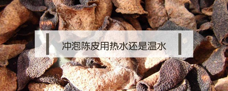 冲泡陈皮用热水还是温水（泡陈皮用热水还是凉水）