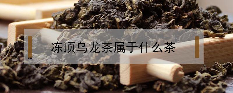 冻顶乌龙茶属于什么茶（冻顶乌龙是什么茶类）