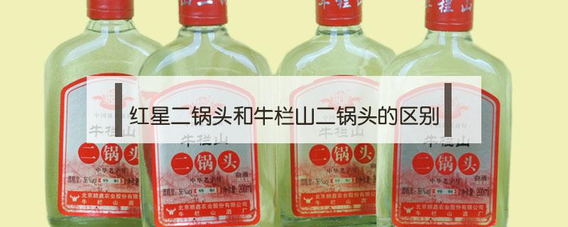 红星二锅头和牛栏山二锅头的区别(红星二锅头蓝瓶和绿瓶哪个好)