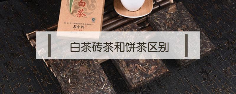 白茶砖茶和饼茶区别（白茶茶砖和茶饼有什么不一样）