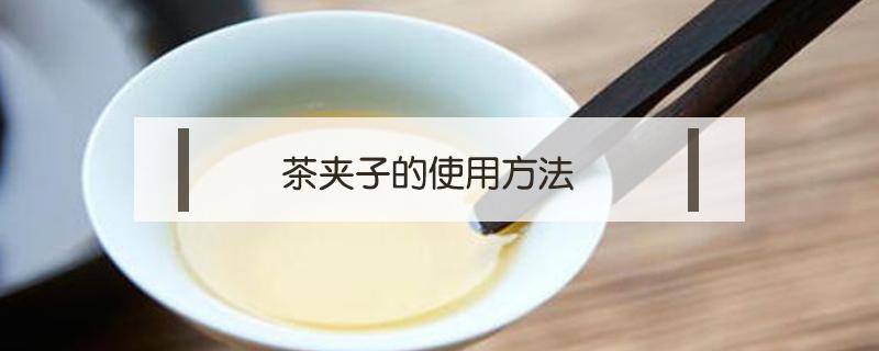 茶夹子的使用方法 茶夹子的使用方法视频