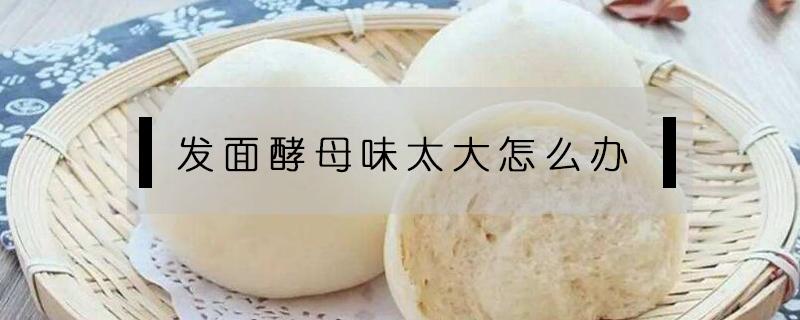 发面酵母味太大怎么办（酵母发面发大了有酸味,怎么办）