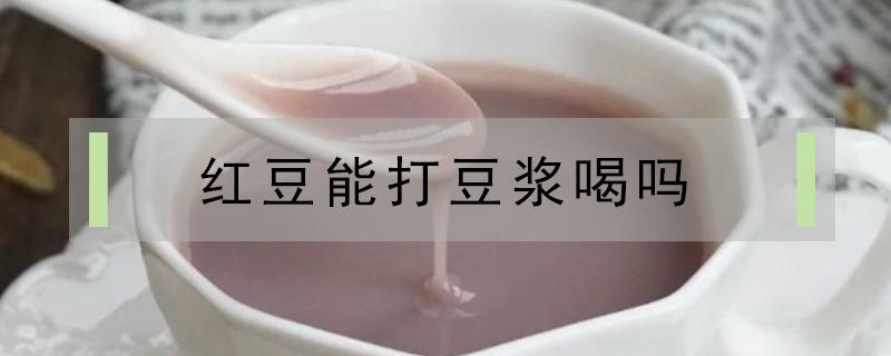 红豆能打豆浆喝吗 红豆打的豆浆可以直接喝吗