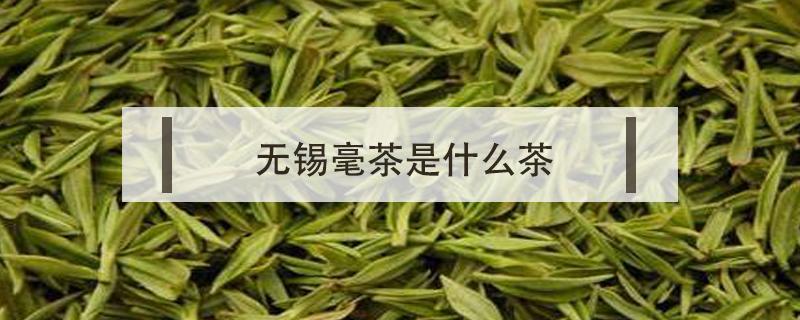 无锡毫茶是什么茶 无锡毫茶是什么茶绿茶还是花茶