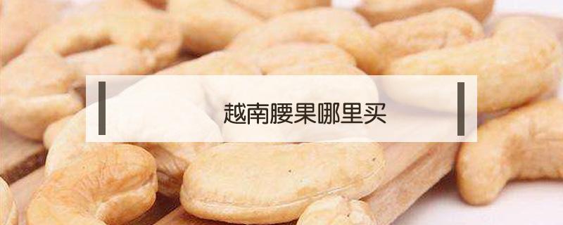 越南腰果哪里买 越南腰果能买吗?