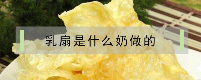 乳扇是什么奶做的（乳扇用什么原料制作）