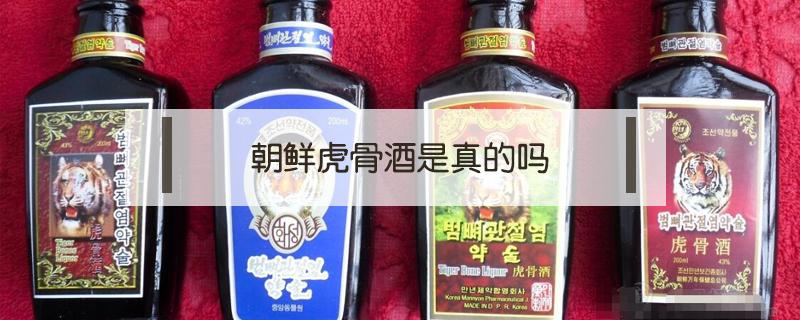 朝鲜虎骨酒是真的吗