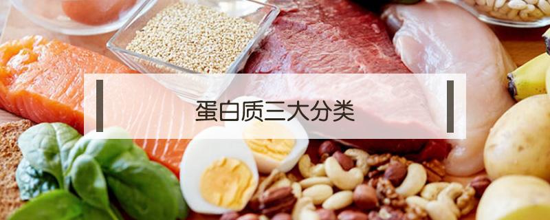 蛋白质三大分类（蛋白质六大类）