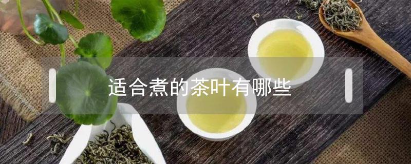 适合煮的茶叶有哪些（什么种类的茶适合煮）