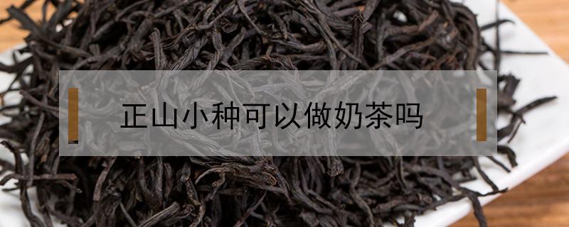 正山小种可以做奶茶吗 正山小种可以做果茶吗