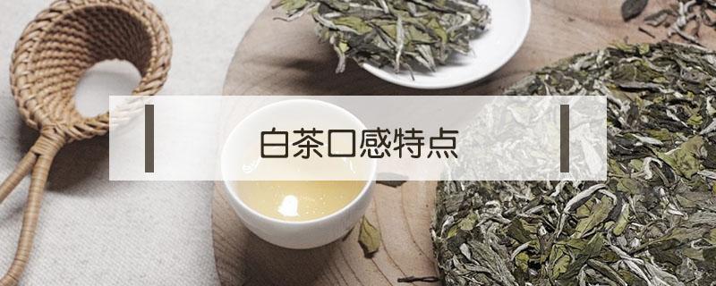 白茶口感特点（古树白茶口感特点）