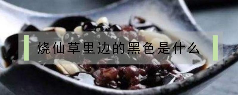 烧仙草里边的黑色是什么 烧仙草黑色的是啥