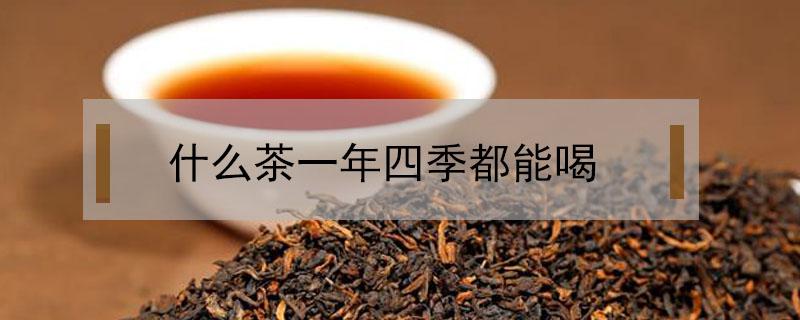 什么茶一年四季都能喝 什么茶一年四季都可以喝