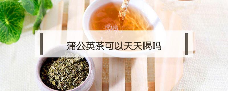 蒲公英茶可以天天喝吗（夏天蒲公英茶可以天天喝吗）