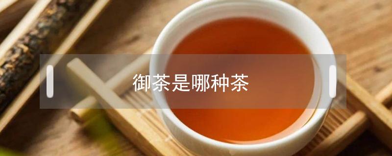 御茶是哪种茶 御品是什么茶