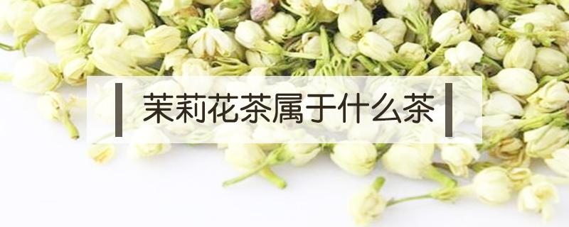 茉莉花茶属于什么茶（茉莉花茶属于什么茶类?）