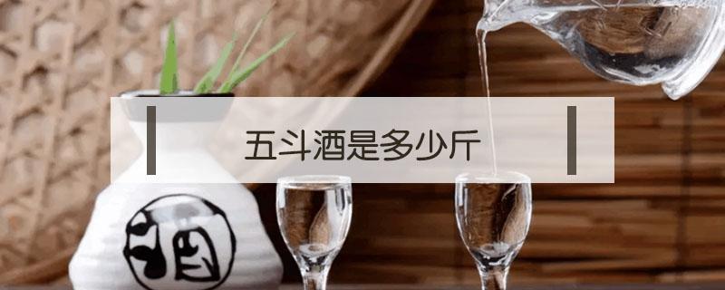 五斗酒是多少斤（五升酒是多少斤呢）