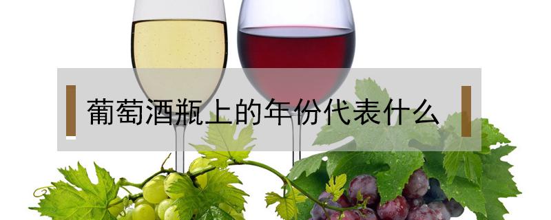 葡萄酒瓶上的年份代表什么（葡萄酒瓶身上的年份是指什么年份）