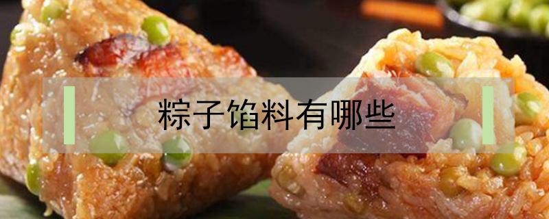 粽子馅料有哪些 三角粽子馅料有哪些