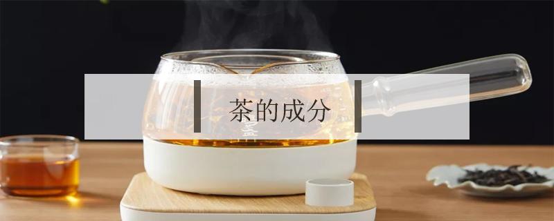 茶的成分（栀子茶的成分）