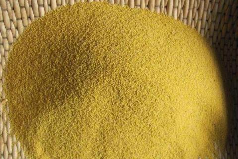 小米出虫了还能吃吗?小米的小白虫和飞蛾怎么产生的?