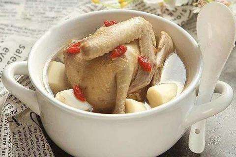 鸽子不能和什么水果一起吃?不能和什么食物吃?